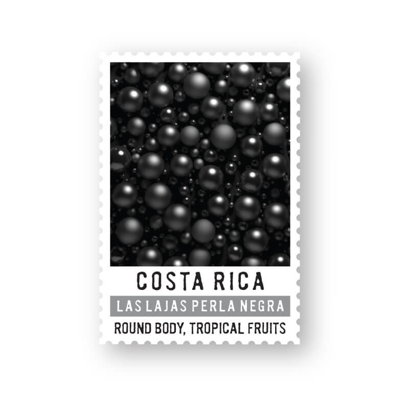 S&W Craft Roasting – Cascara Coffee Cherry Tea, Costa Rica Las Lajas Perla Negra, 300g, Fairtrade Organic, Flavors Of Raisin Apple Honey Cherry
